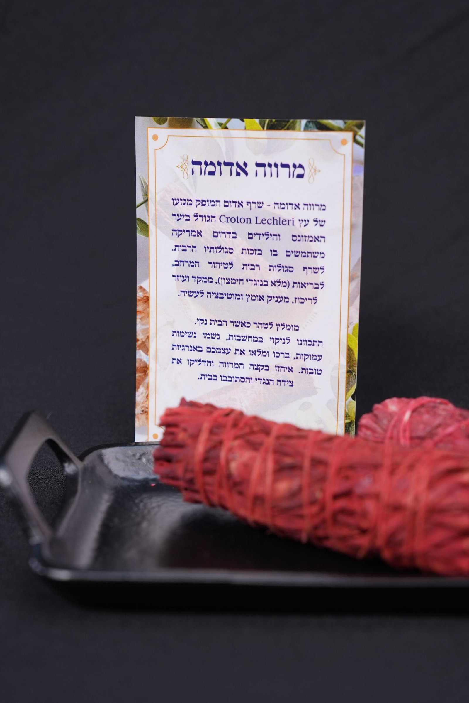 מרווה אדומה – תמונה 3